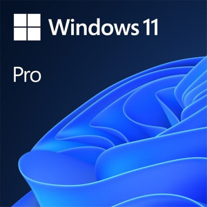 Microsoft Windows 11 Pro 64-bit OEM DVD