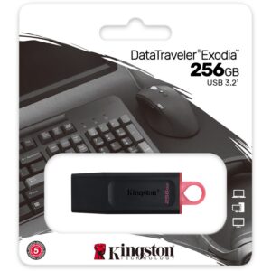 Kingston 256GB DataTraveler Exodia USB 3.2 Flash Drive with Protective Cap